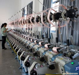 金華染色廠(chǎng)及浙江蕾絲染整相關(guān)信息介紹